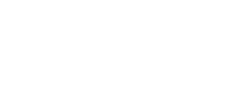 Niko Electric Carts