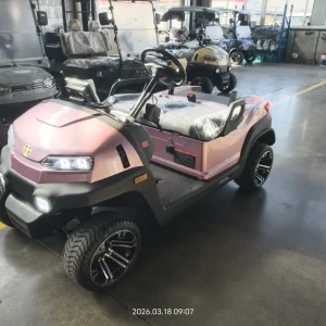 Zycar Z2Y(E)-Rodi2 [2026] (SKU:UVR1G)