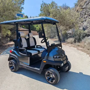 Zycar Z2Y(E)-Rodi2 [2026] (SKU:V64HM)