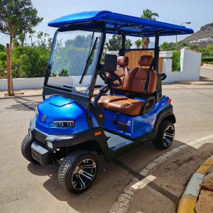 Zycar Z2Y(E)-Rodi2 [2026] (SKU:VMU3I)